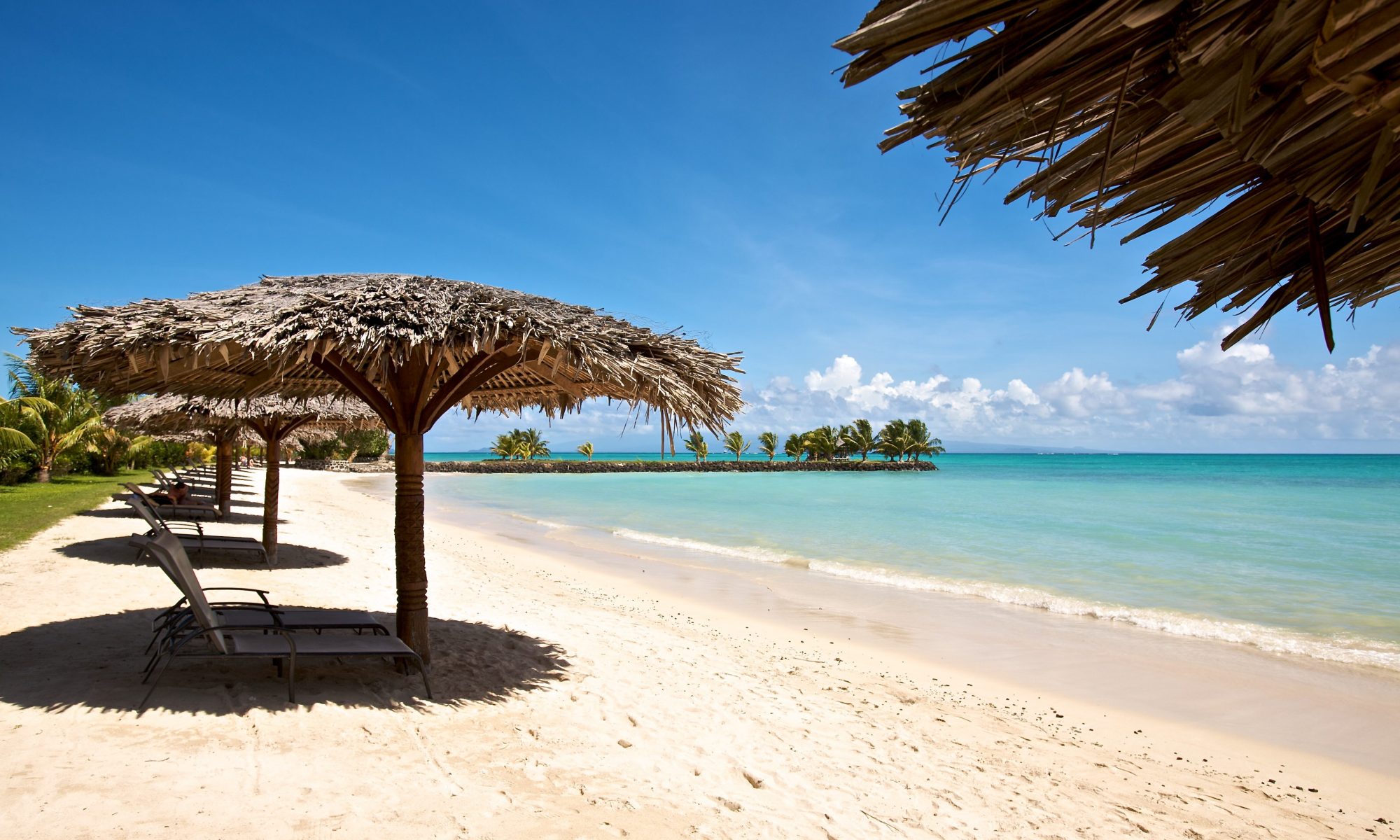 Five O Clock Somewhere